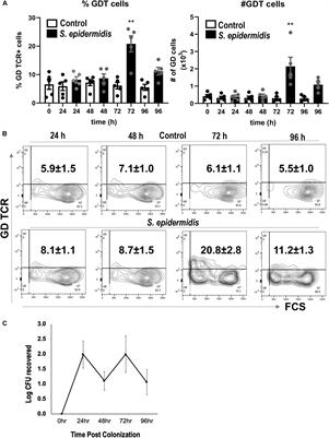 Staphylococcus epidermidis Boosts Innate Immune Response by Activation of Gamma Delta T Cells and Induction of Perforin-2 in Human Skin